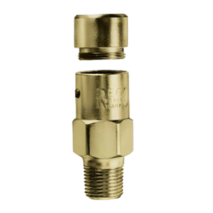 Engineered Controls 3127P Hydrostatic Relief Valve 1/4" M NPT Brass 300 PSI LP G