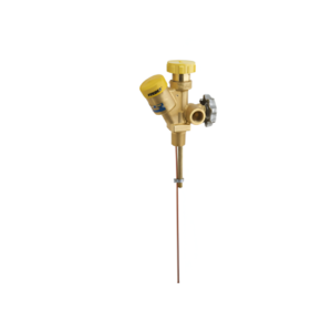 REGO 6543R11.1 1” Multi-Bonnet Valve DOT-375 PSI for Propane LP Gas