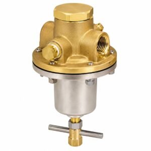 REGO 1786A 3/4" Heavy Duty Gas Line Regulator 5-55 PSIG Viton O2 Clean
