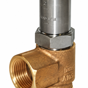 REGO AR4106A300 3/4" MNPT x 1" FNPT Relief Valve 300 PSIG O2 Cleaned