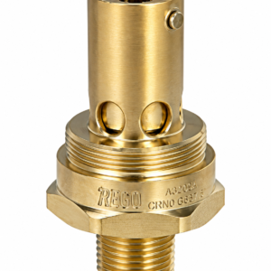 REGO B-19434B250 1/2" MNPT Cryogenic Relief Valve 250 PSIG O2 Clean