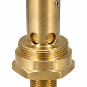 REGO C-19434B350 1/2" ASME Cryogenic CO2 Relief Valve 350 PSIG EPDM O2 Clean