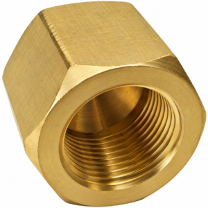 REGO CAP1000 1" FNPT Brass Pipe Cap 600 PSIG O2 Cleaned Cryogenic Gas