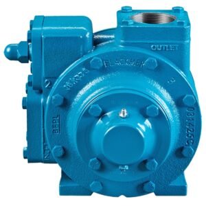 BLACKMER GNX4-PO — 4" Sliding Vane Pump, Duravanes, FKM, NPT Flanges