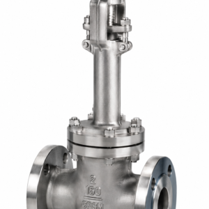 RegO GS-210W-24W3A 3" Stainless Cryogenic Globe Valve SCH 10 Class 300