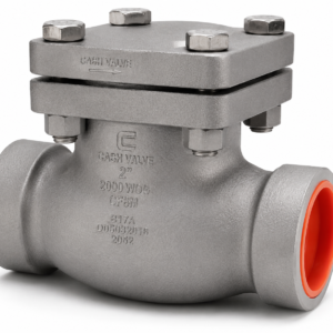 REGO S-886-16W3A 2" SS Cryogenic Swing Check Valve 720 PSI Butt Weld